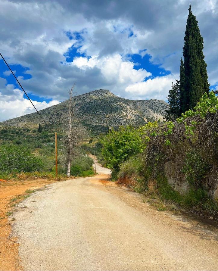 Mykines Sunny House At Ancient Mycenae, Close To Nafplio! מראה חיצוני תמונה